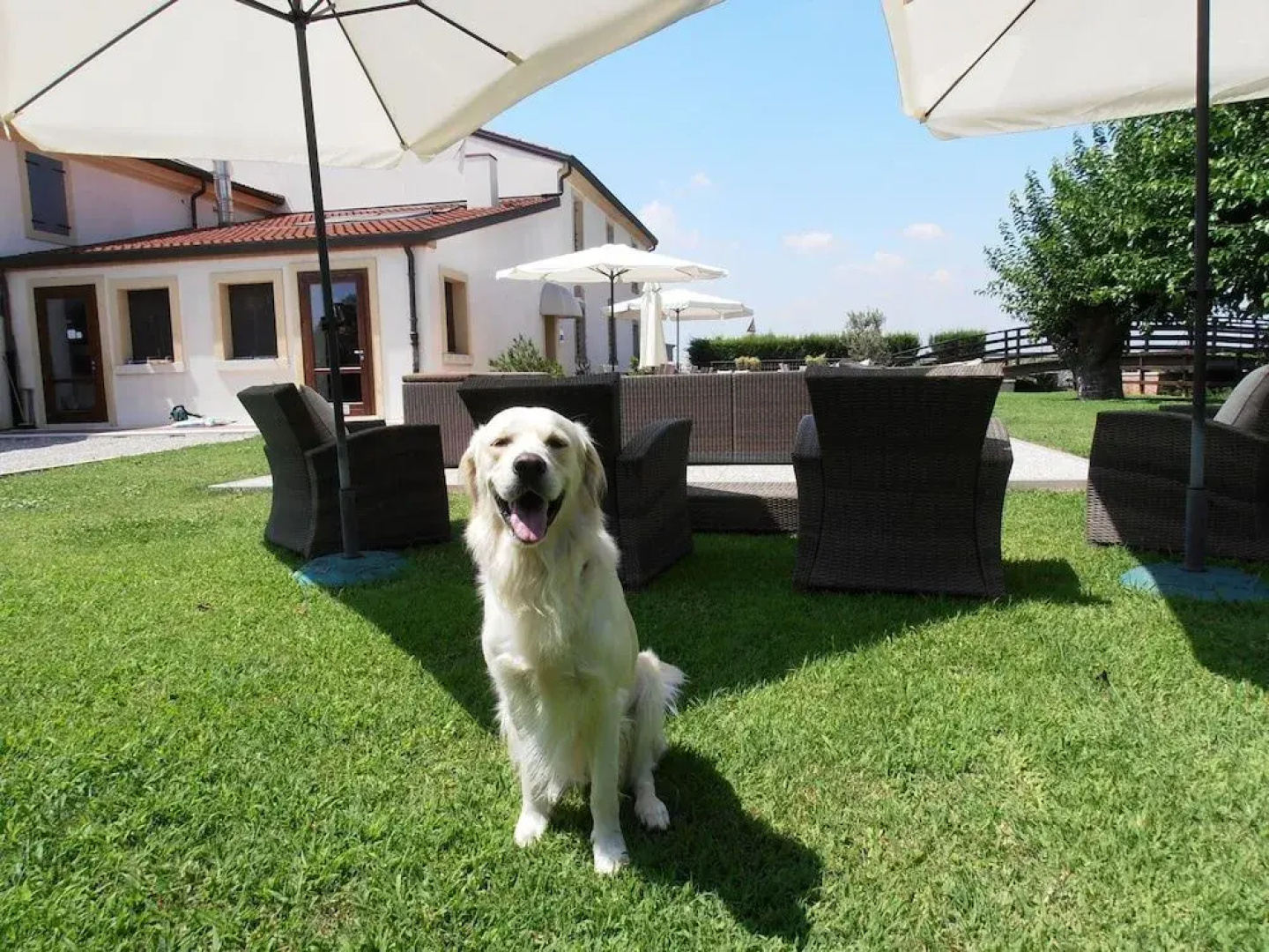 LArtigliere Ristorante Con Locanda