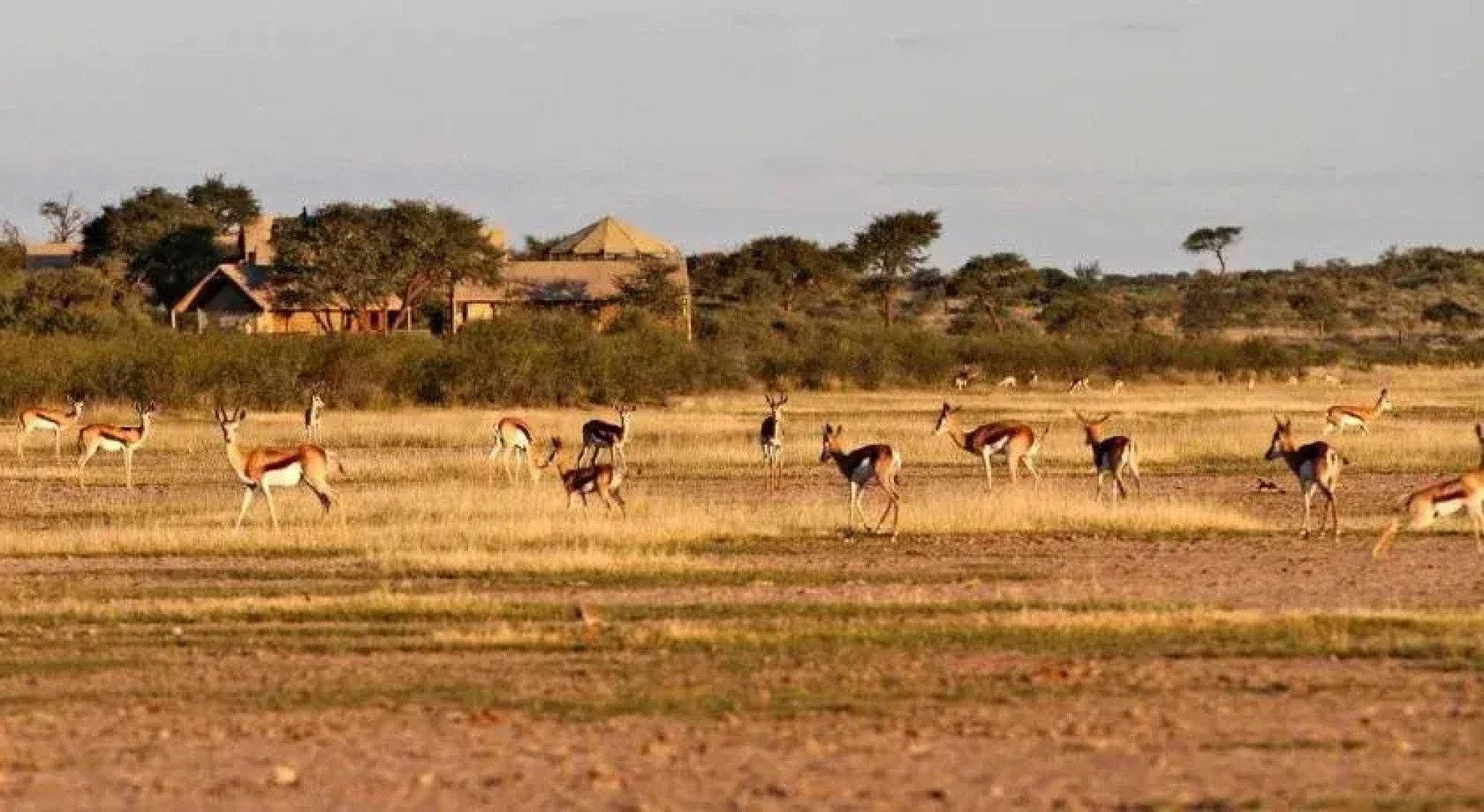 Intu Africa Suricate Tented Kalahari Lodge