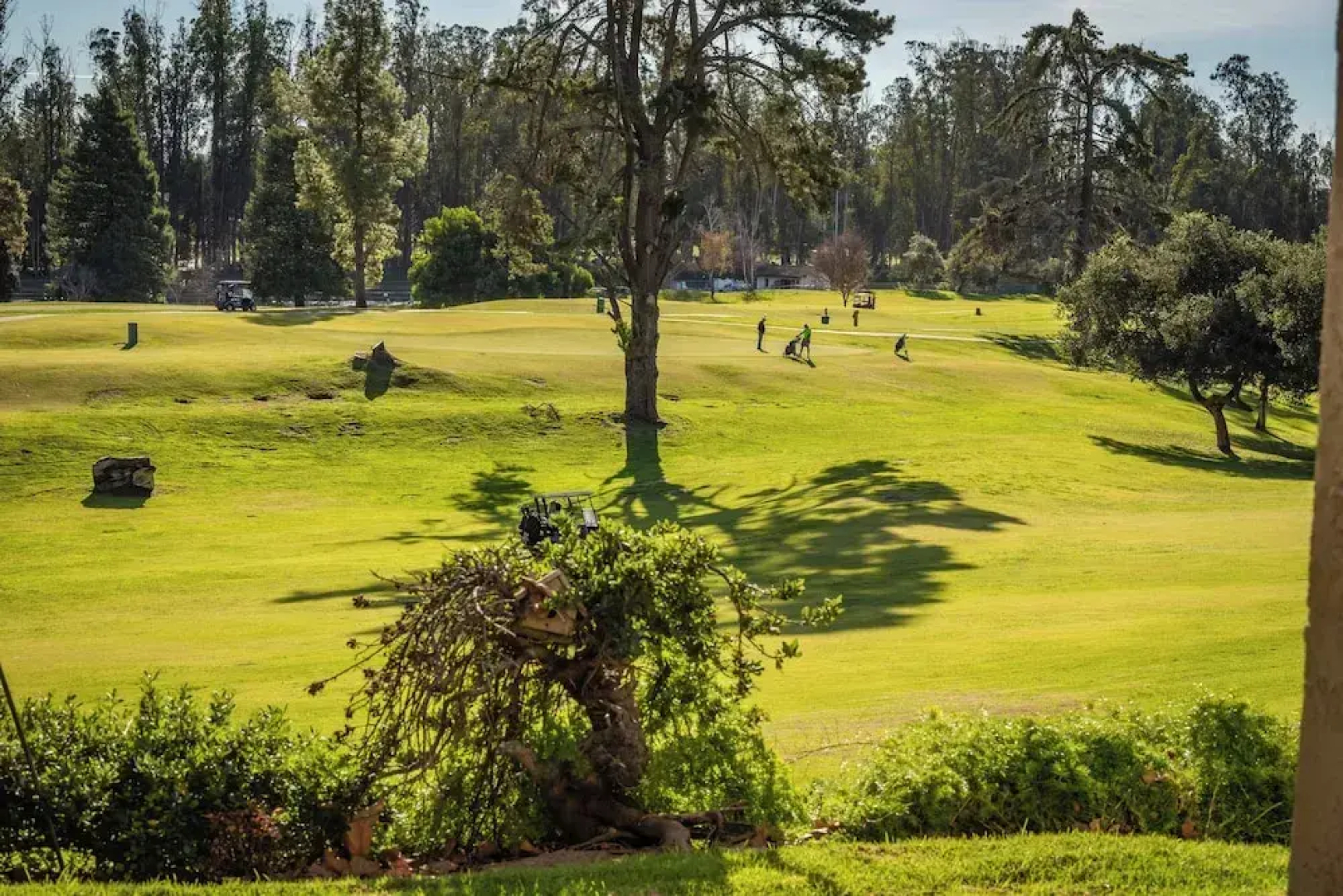 The Fairways