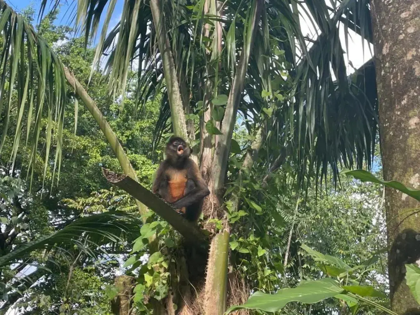 Palapa Hut Hostel & Camping