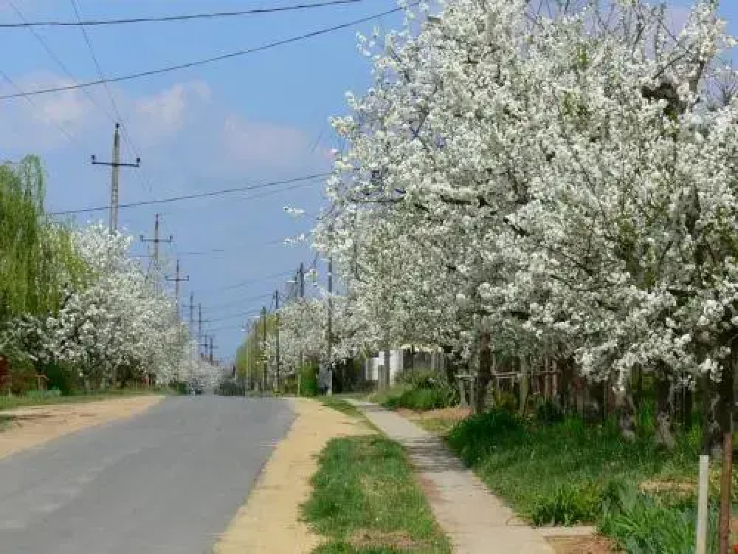 Élő Tisza Vendégház