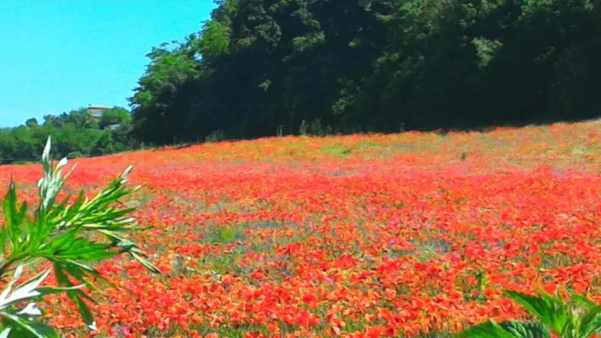 Agriturismo San Filippo