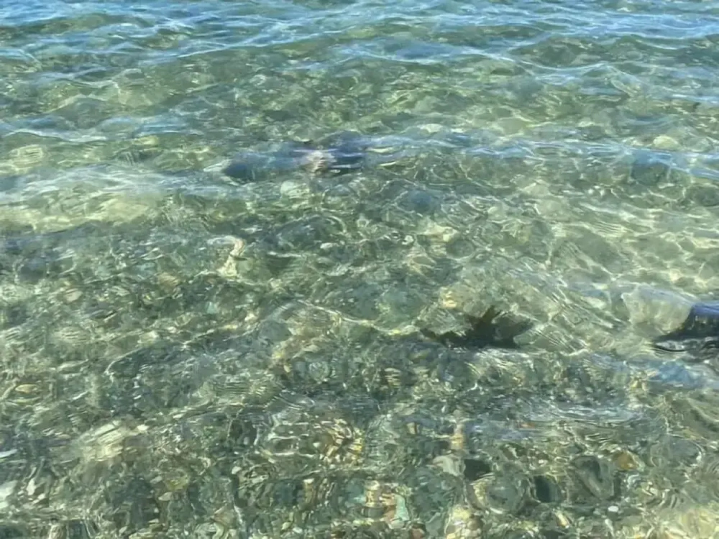 Cosy Annexe Sleeps 4