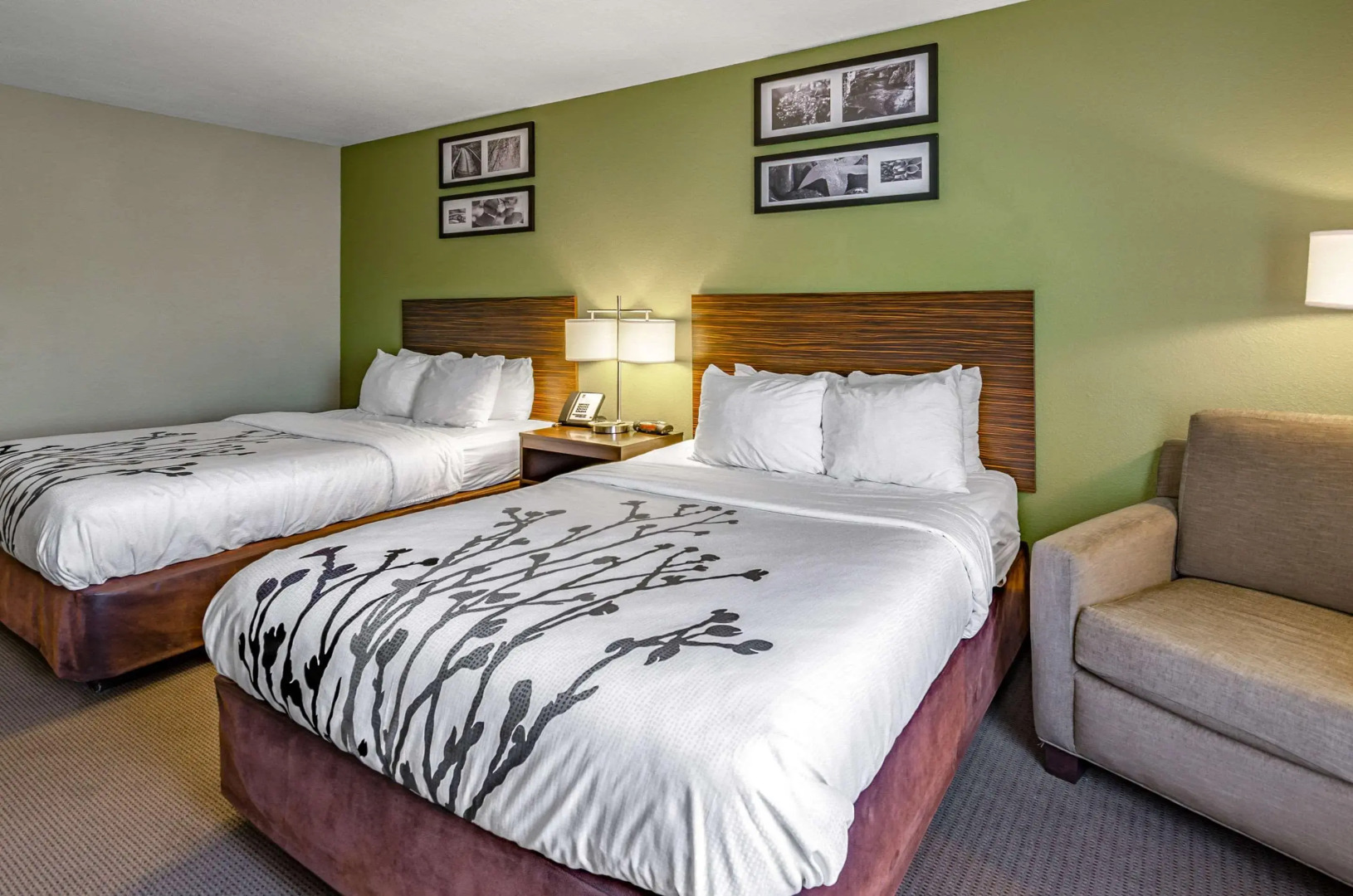 Sleep Inn Boone University Area