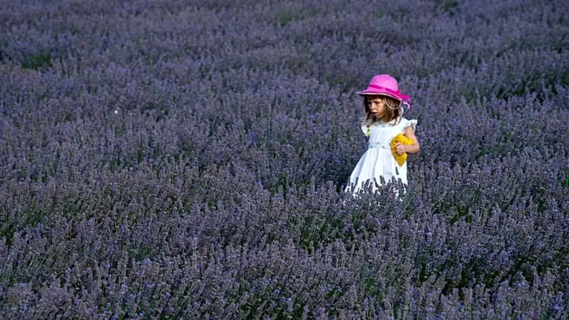 Les Terrasses de Cascavelle