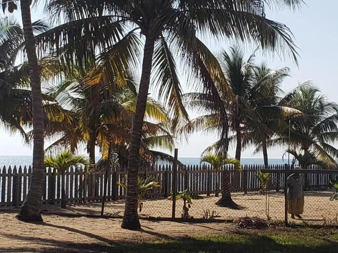 Pal's on the beach - A Gold Standard Hotel