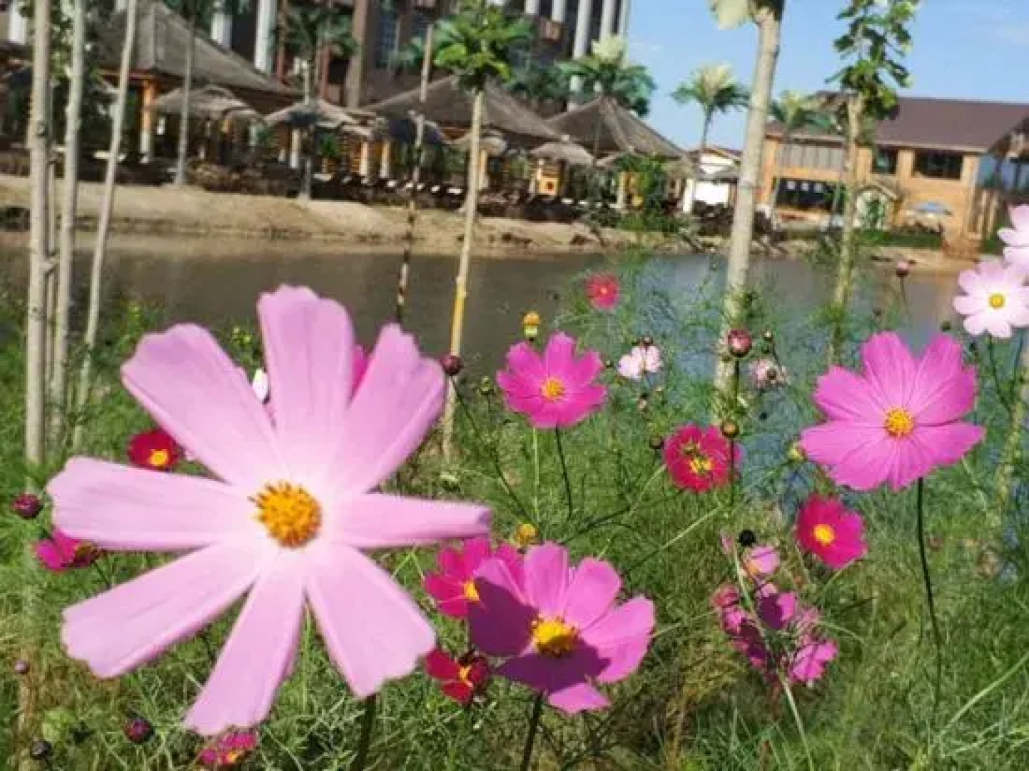 Xinglongquan Business Hotel