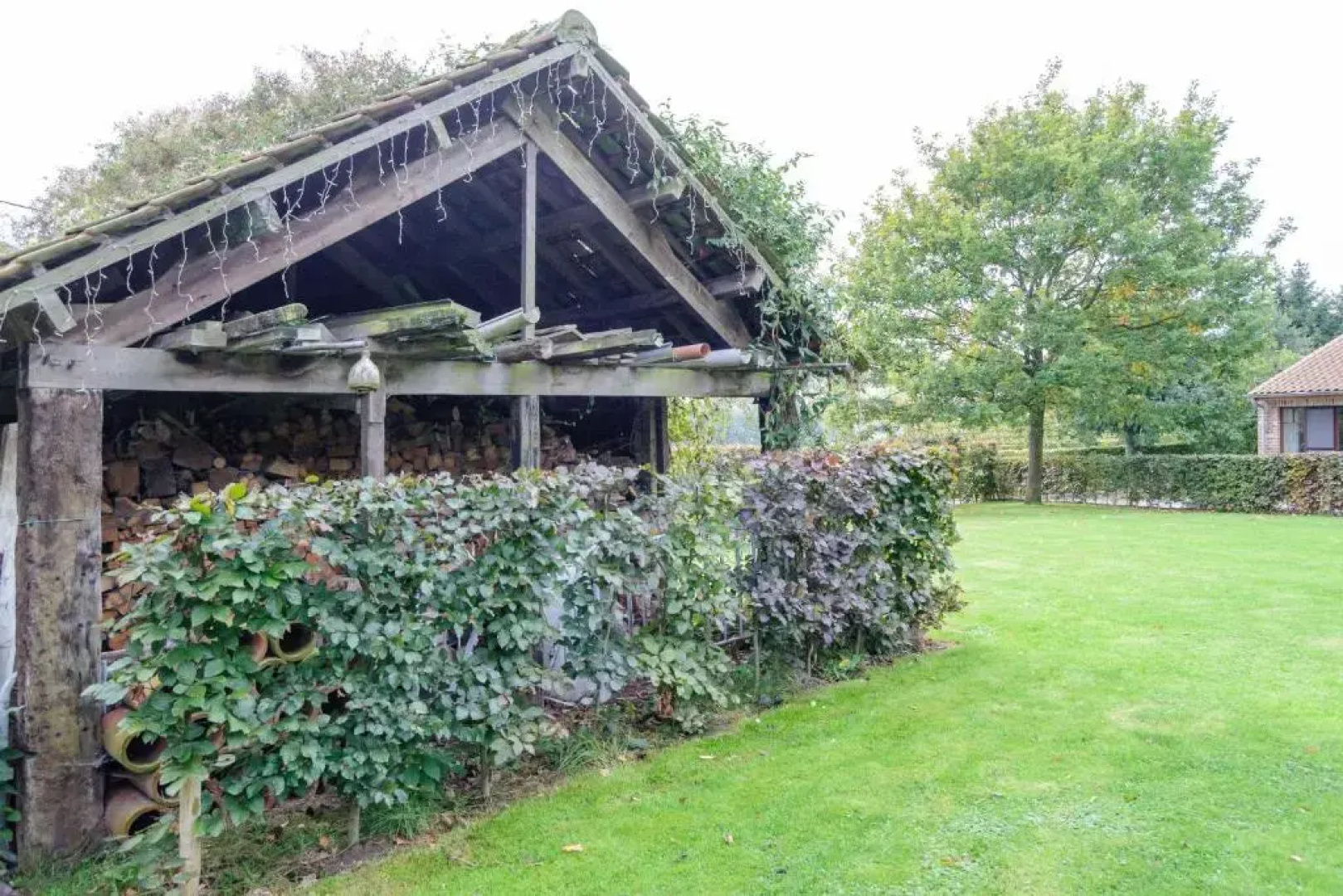 B&B Het Hof van Petronilla