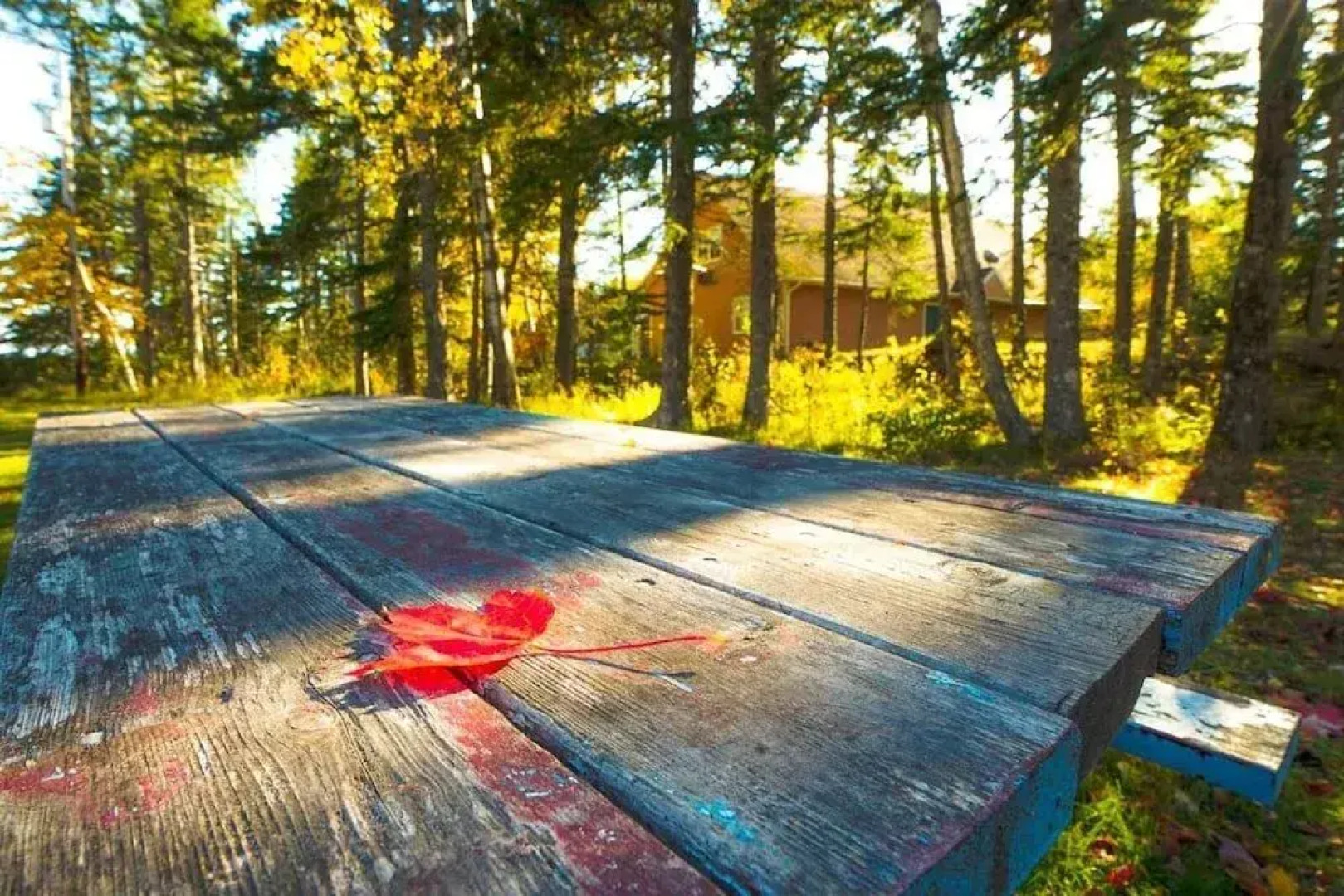 Glenghorm Beach Resort