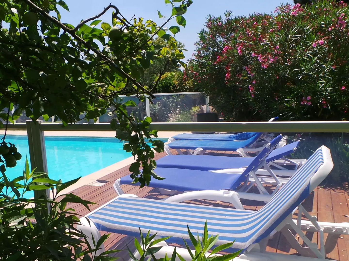 Stone House in a Vineyard, With Swimming Pool, Near Bordeaux