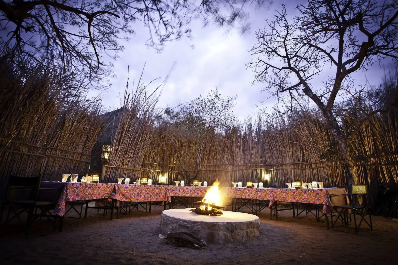 Sausage Tree Safari Camp