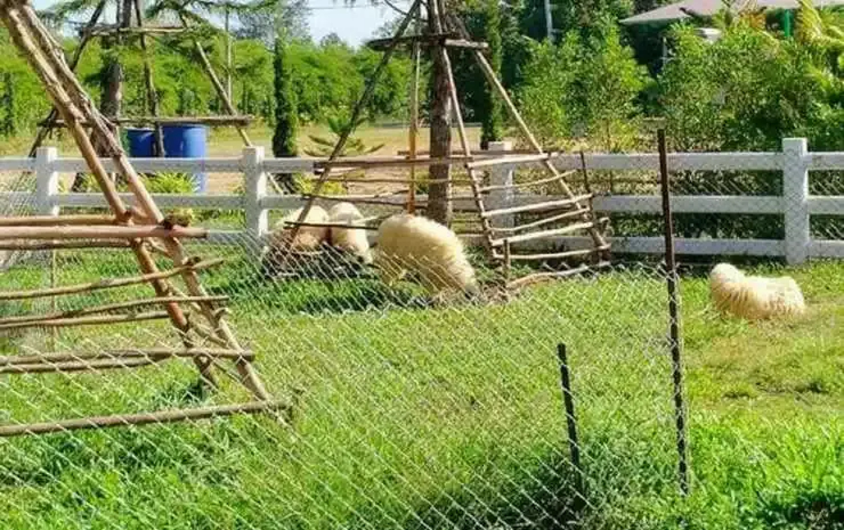 White Ville Apartment