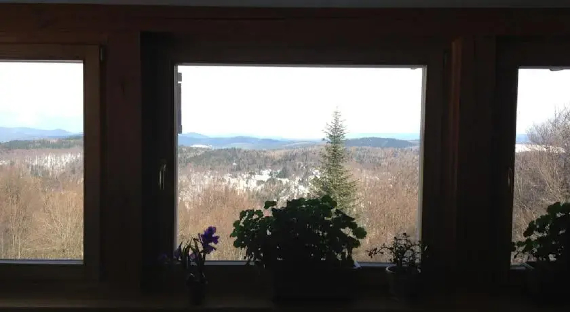 Schronisko Górskie PTTK Jaworzyna Krynicka