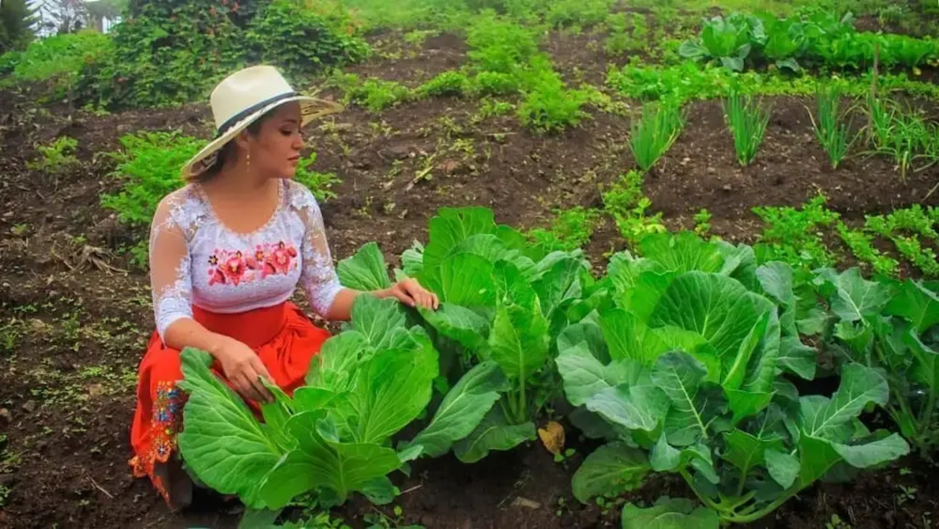 Complejo Turístico Intihuatana