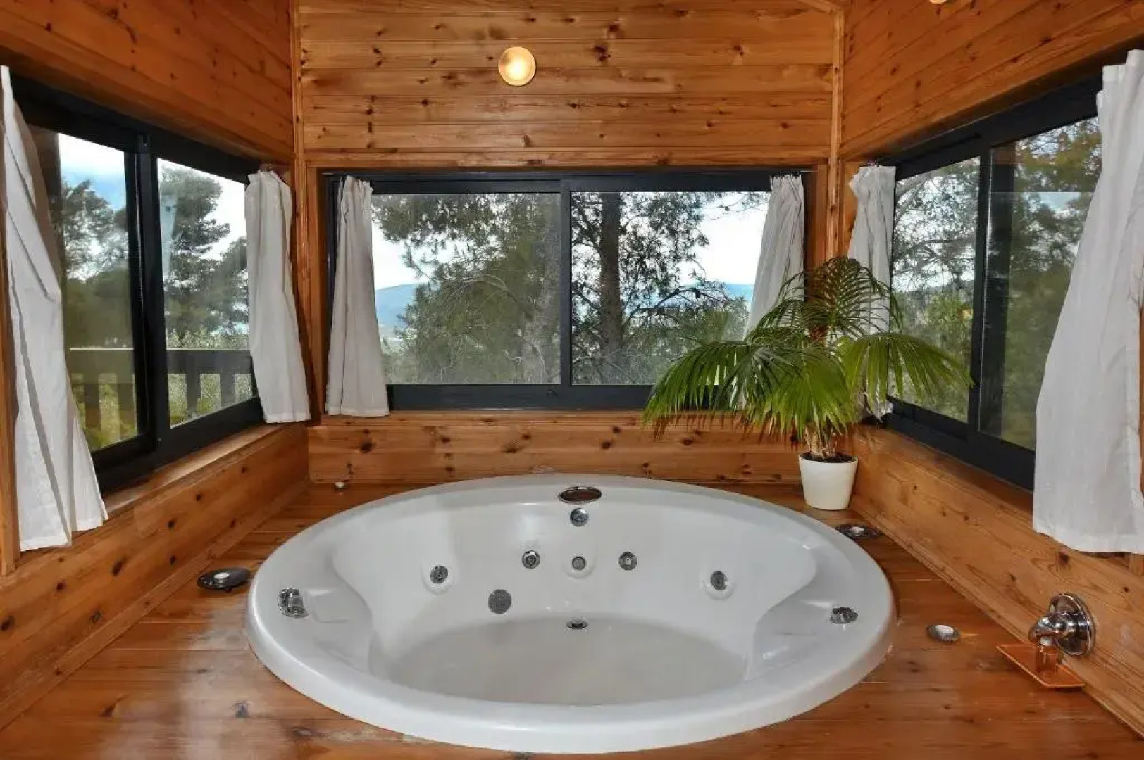 Zimmers at the Forest