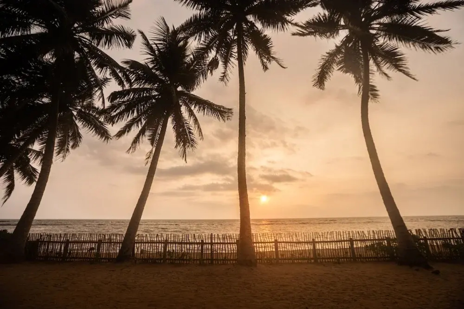 Taprospa  Footprints"