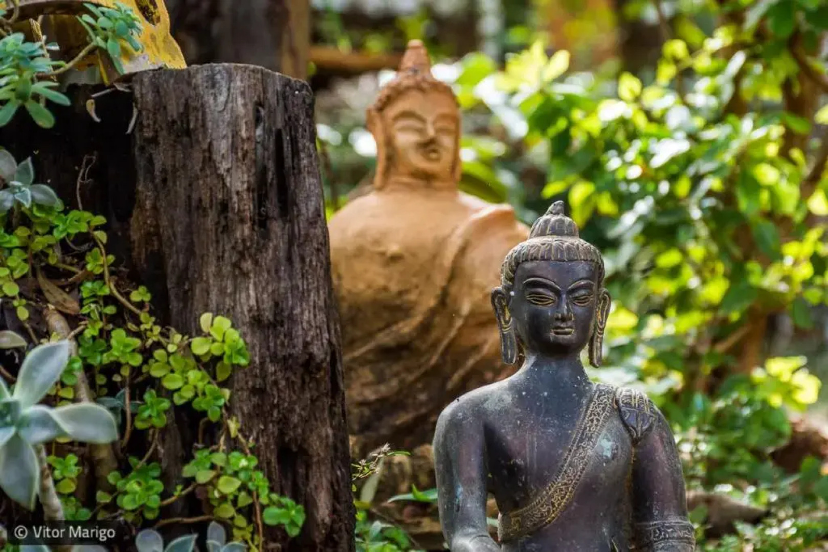 Pousada Bangalôs Cipó