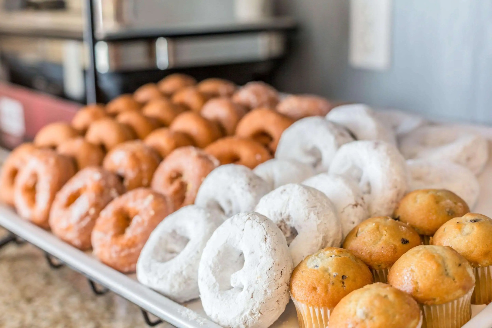 Comfort Inn & Suites South Burlington near University