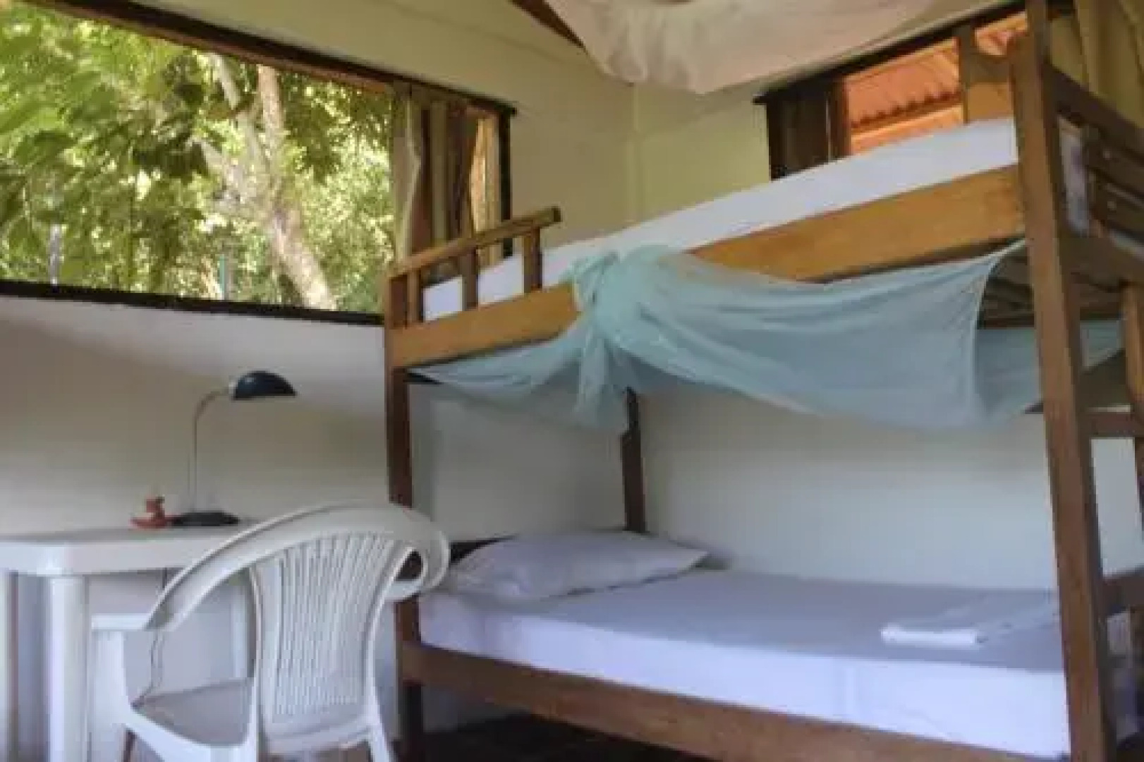 Jaguar Azul Palomino