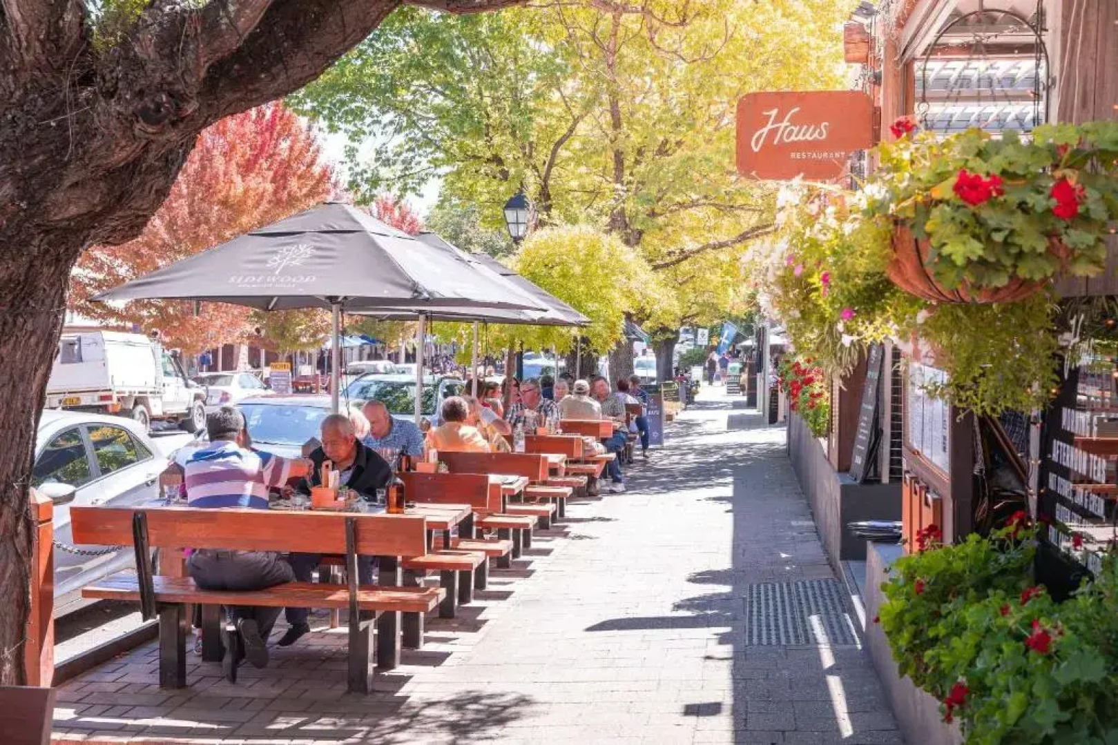 The Manna of Hahndorf