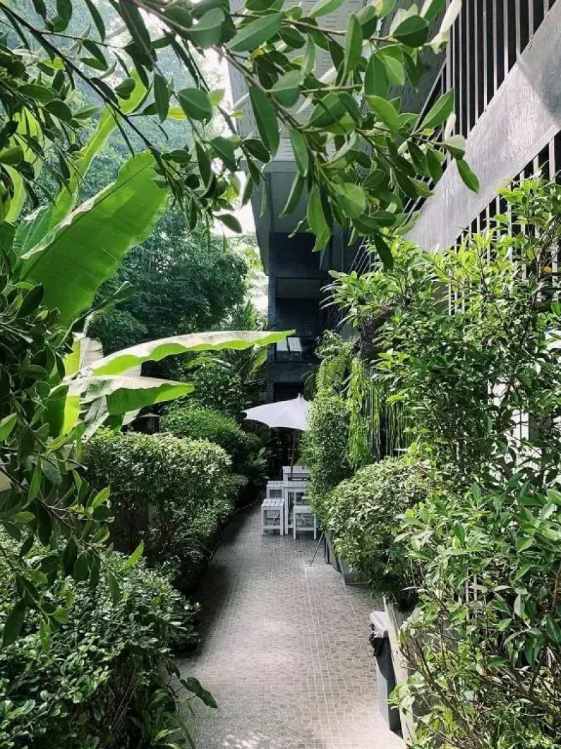 Madison Hotel (SHA Extra Plus)