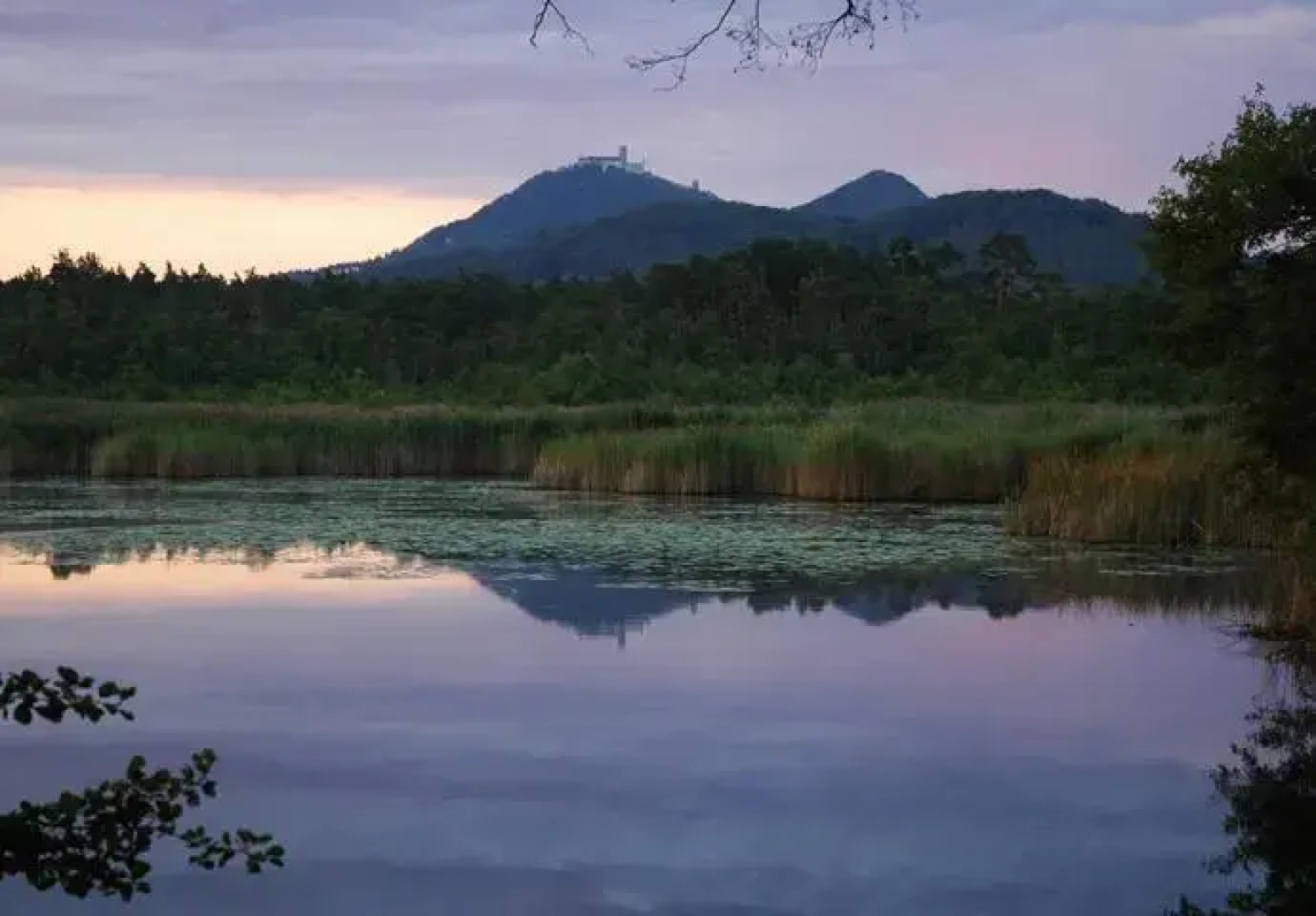 Pension RUT Formanovi