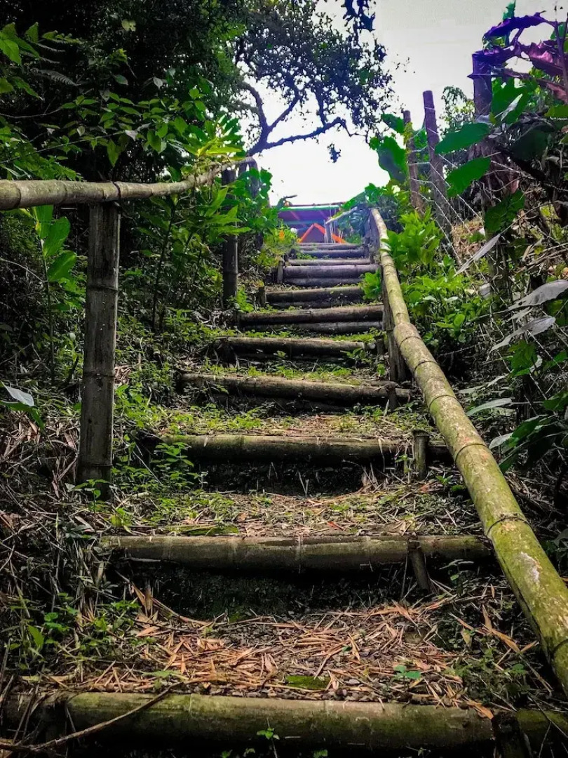 Room in Guest Room - Room With 2 Double Beds Number 14