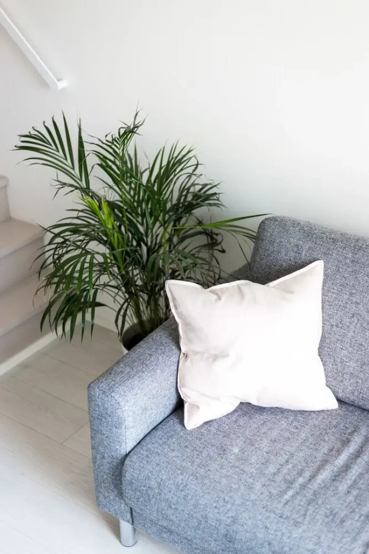 SSA Spot studio apartment ID 5002B22