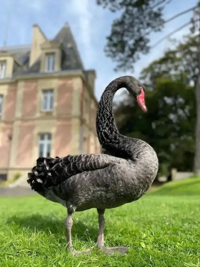 Château Côte de Nacre