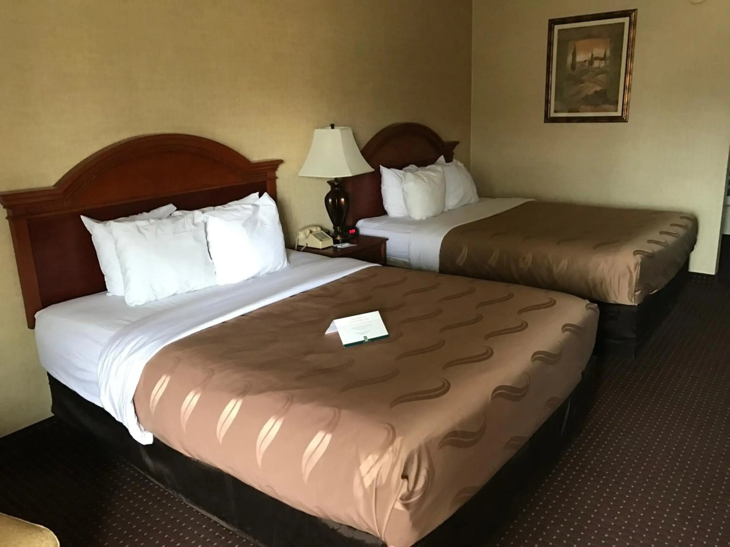 Quality Inn & Suites Erie near Casino