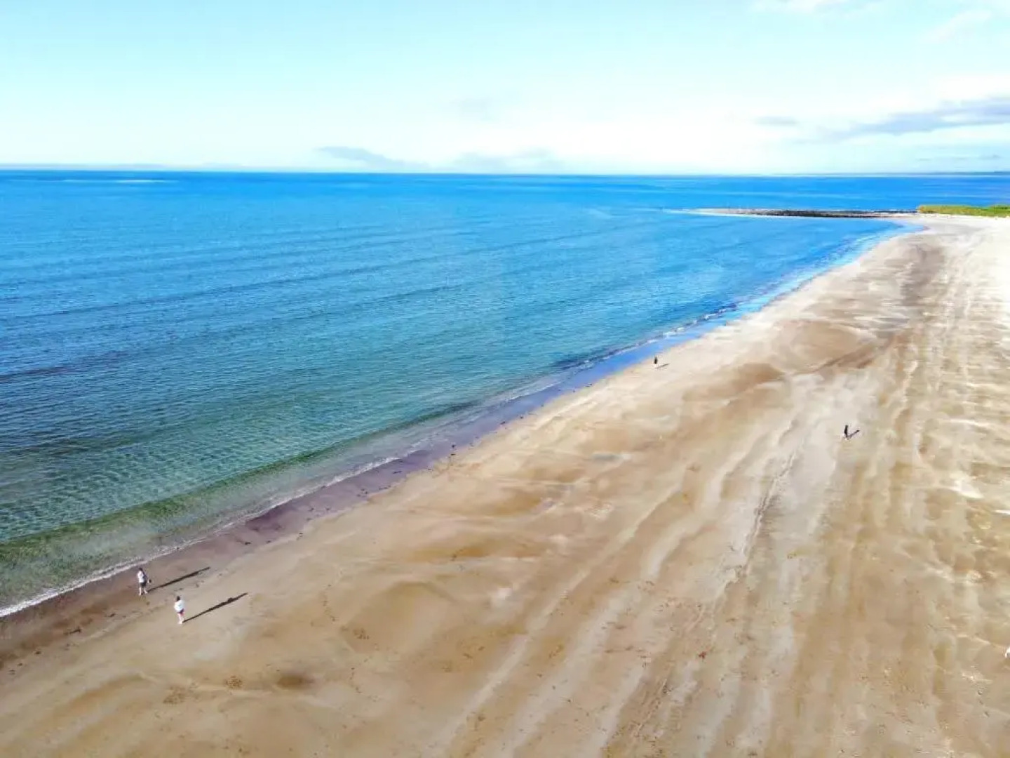 Ross Beach Family Farmhouse B&B