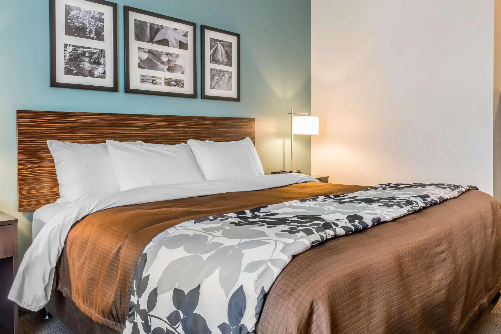 Sleep Inn & Suites Cumberland - LaVale