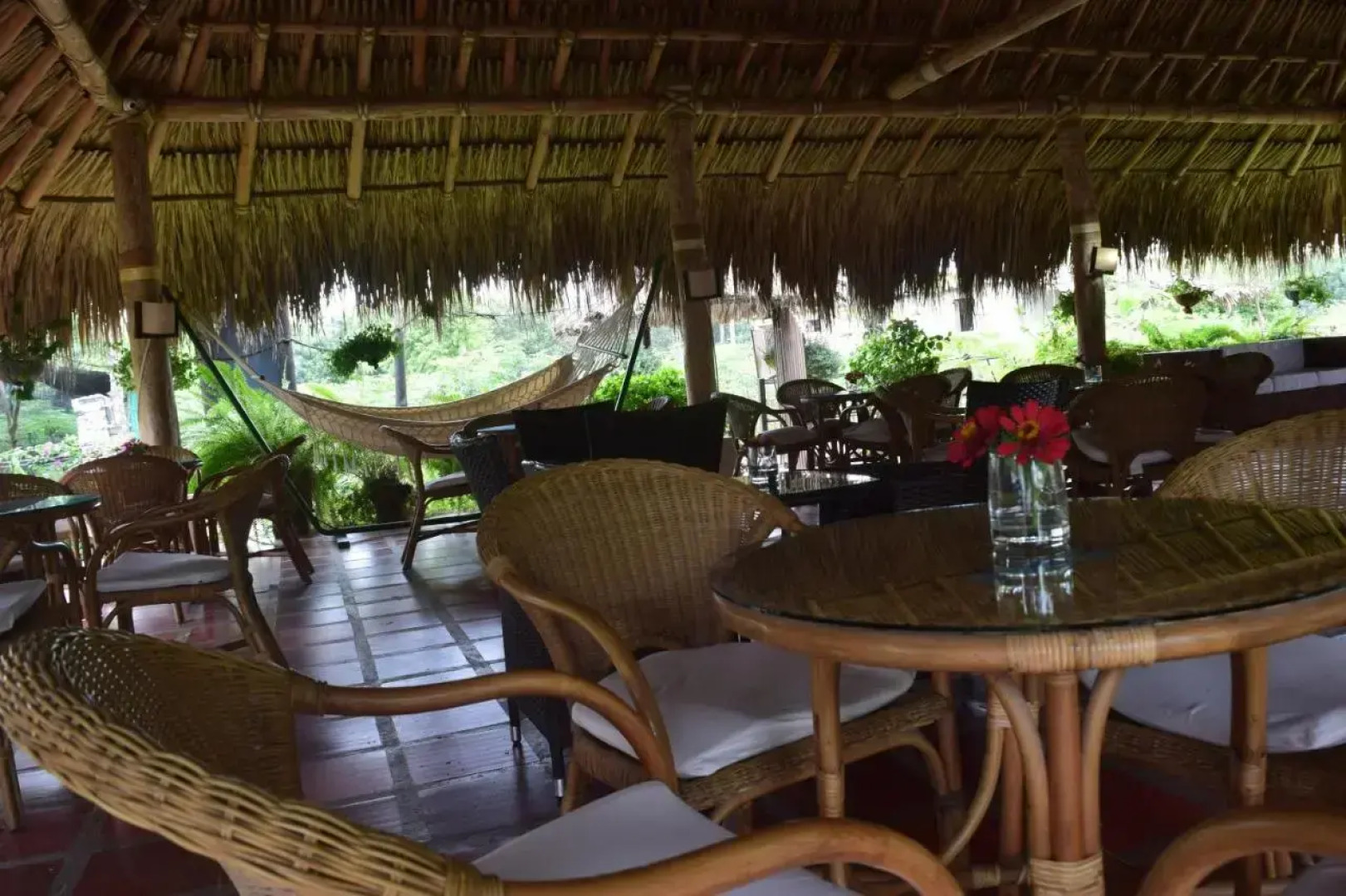 Palomino Breeze Hostal