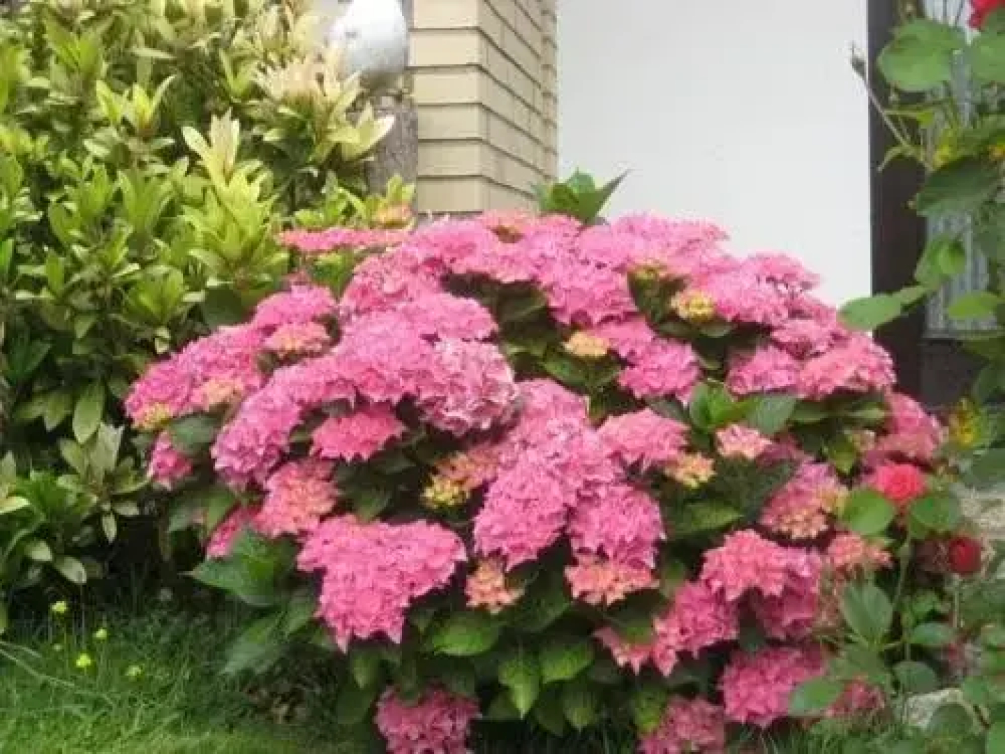 Apartment Haus Hamann