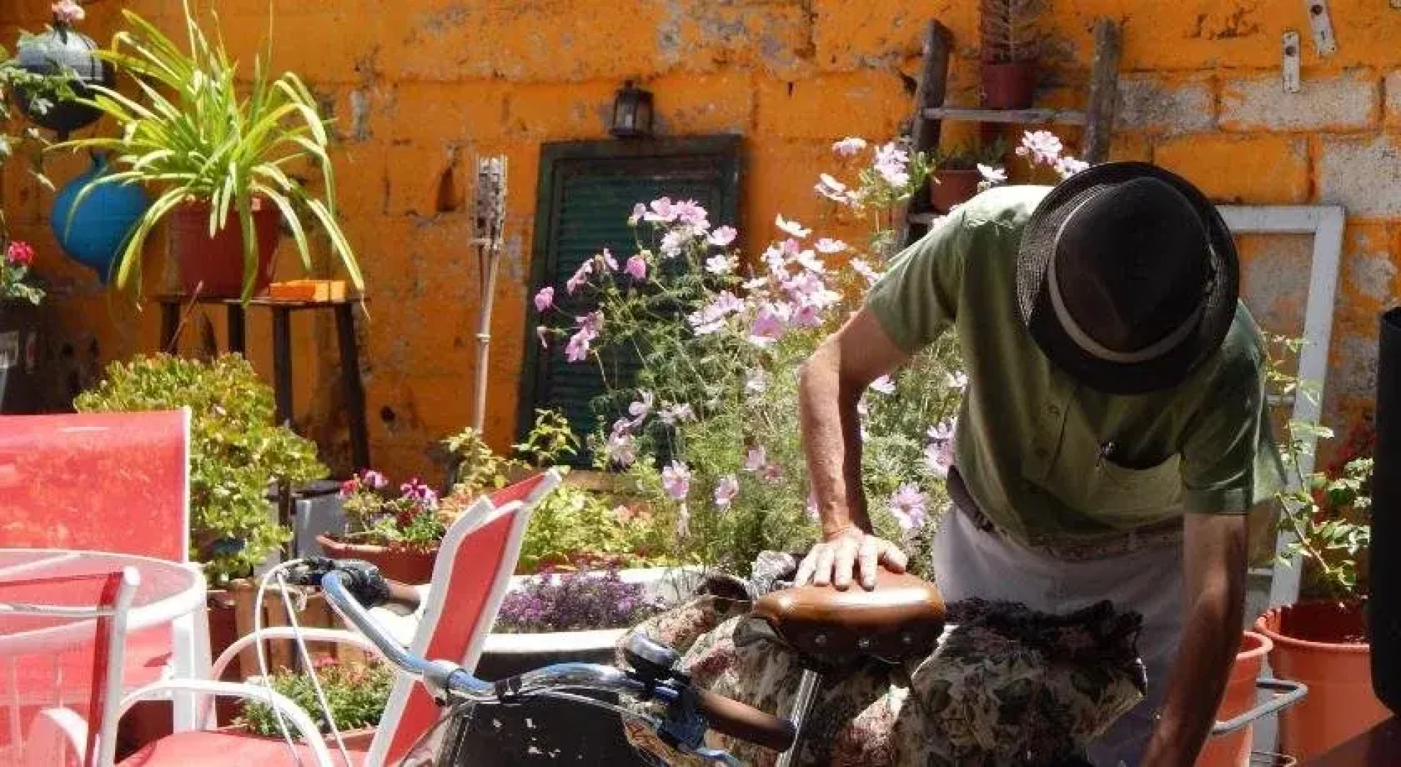 Street Garden Hostel