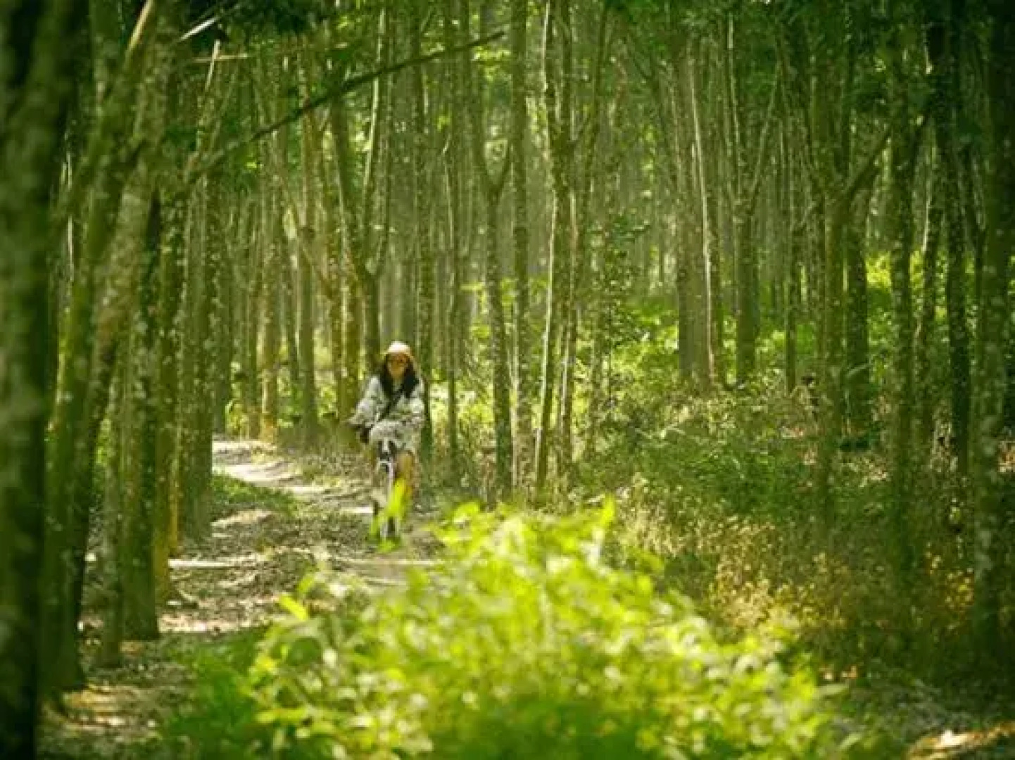 Nanlahe Paya Resort Hotel