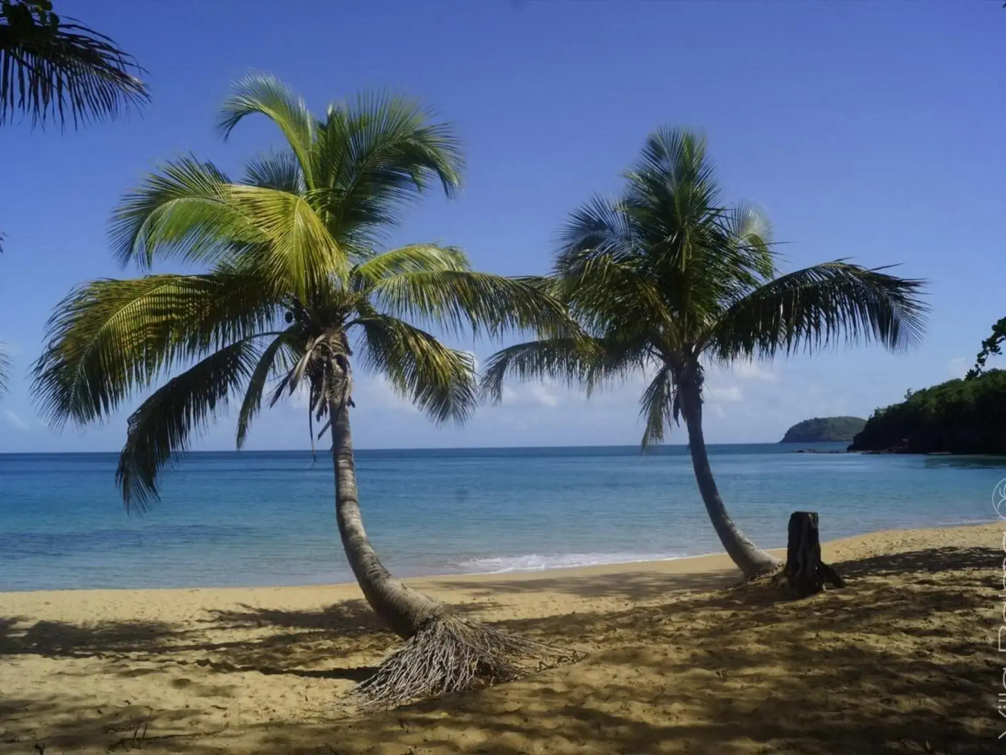 Domaine De La Pointe Batterie