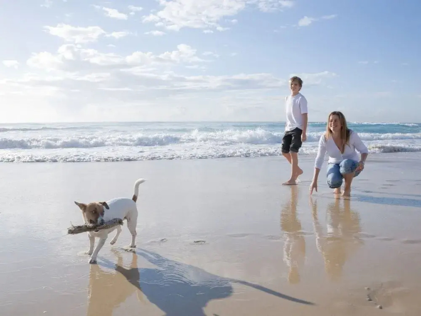 Lovely and Comfortable Holiday Home in Quiet and Stunning Surrounding Area of Begelly