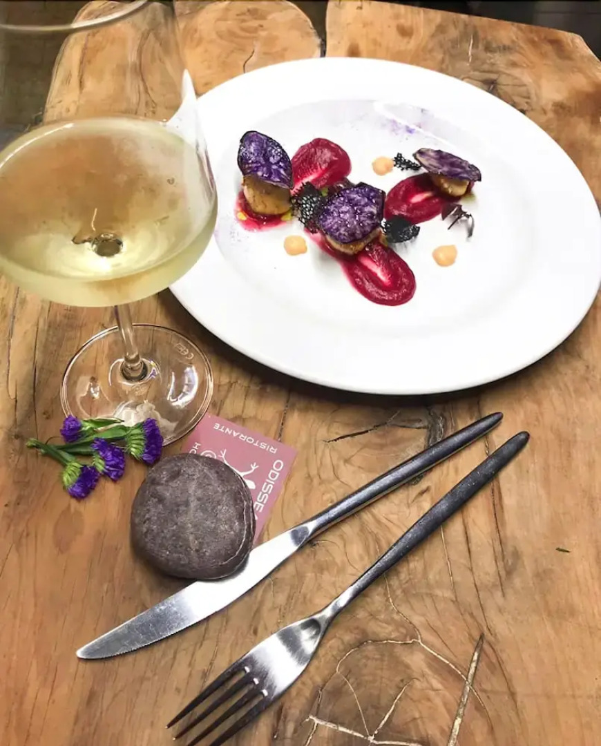 Residence Hotel Odissea