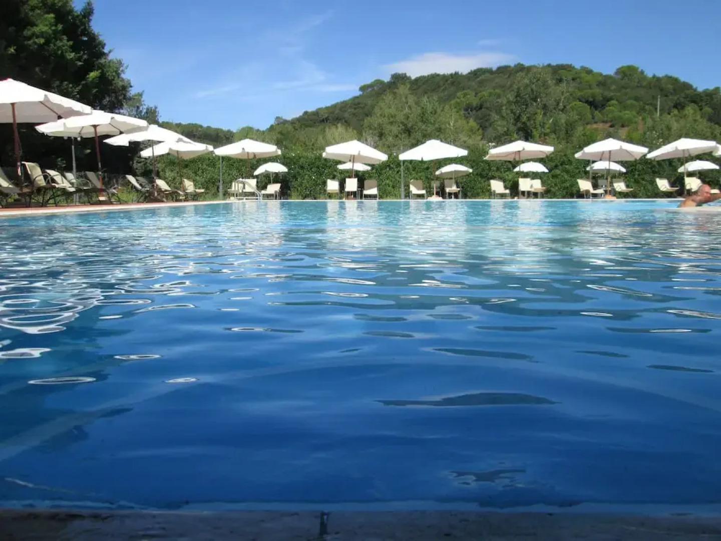 Fattoria La Steccaia