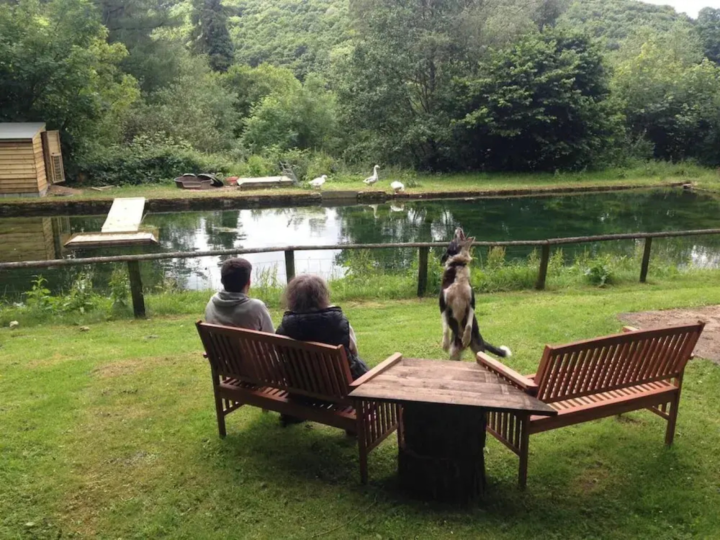 Relax in Mountain View Cottage at Cwmiar Farm