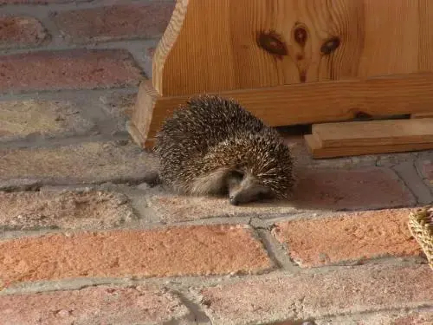 Őrségi Tornácos Vendégfogadó