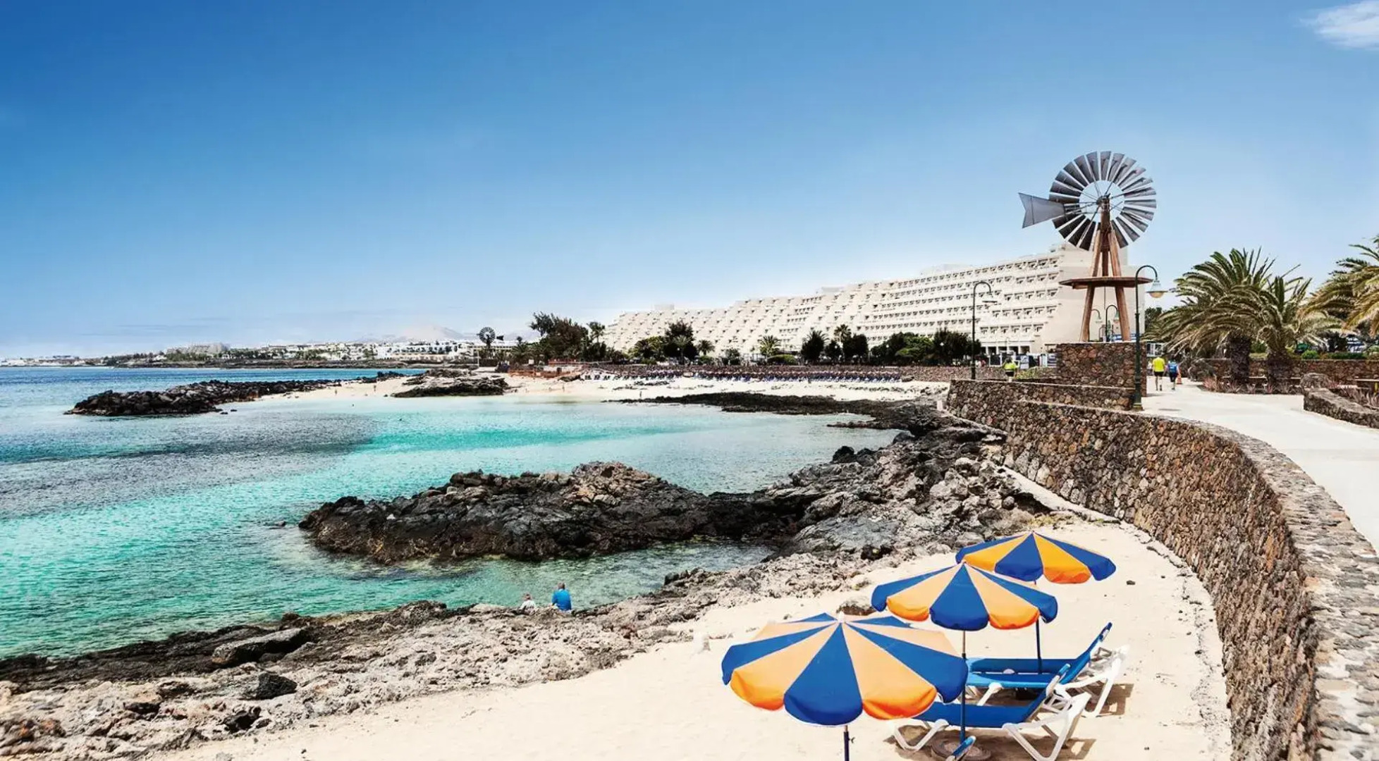 Canaryislandshost l My Nest Apartments