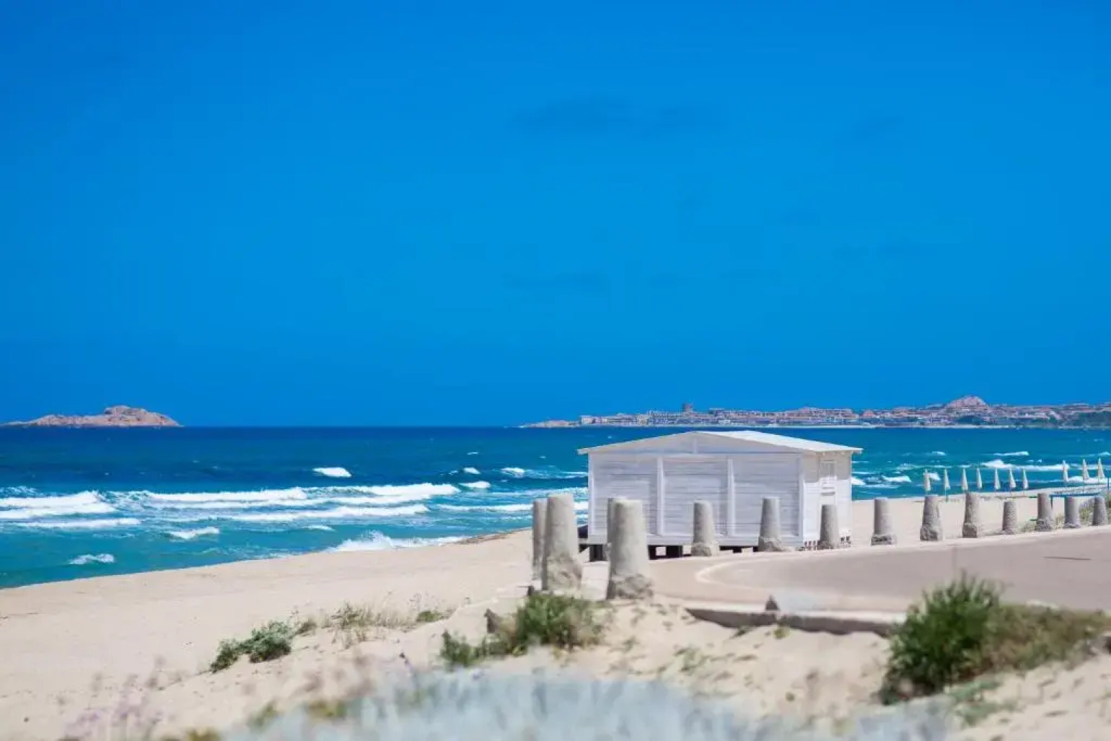 Welcomely - Dei Mille - La vigna 3