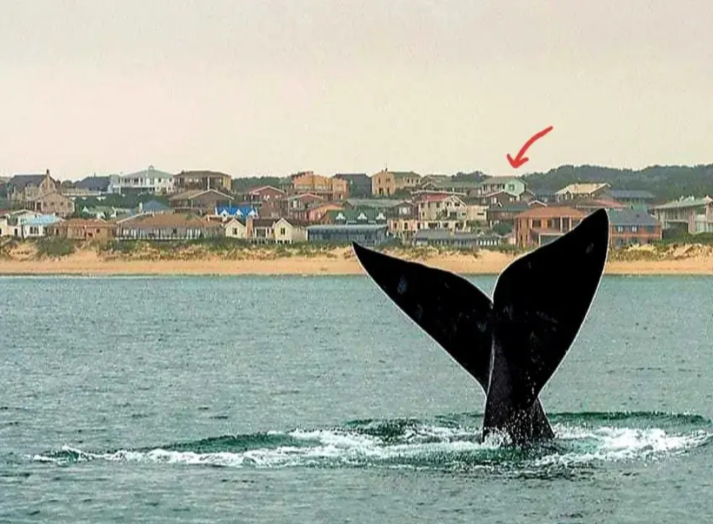 Magdamol Holiday Home