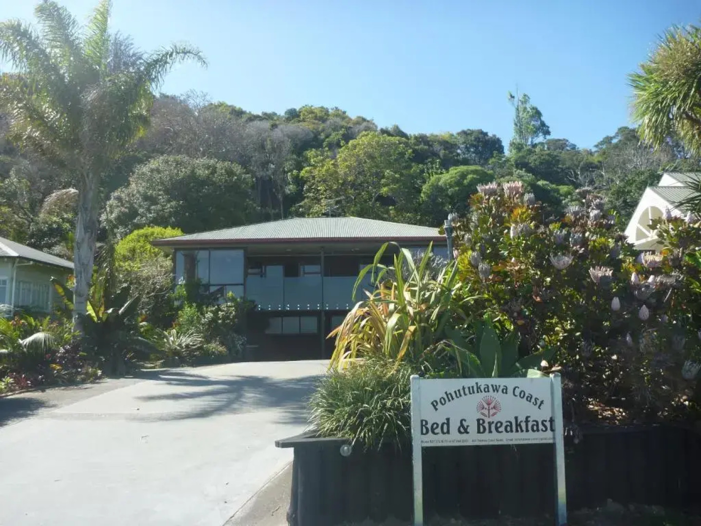 Pohutukawa Coast Bed & Breakfast