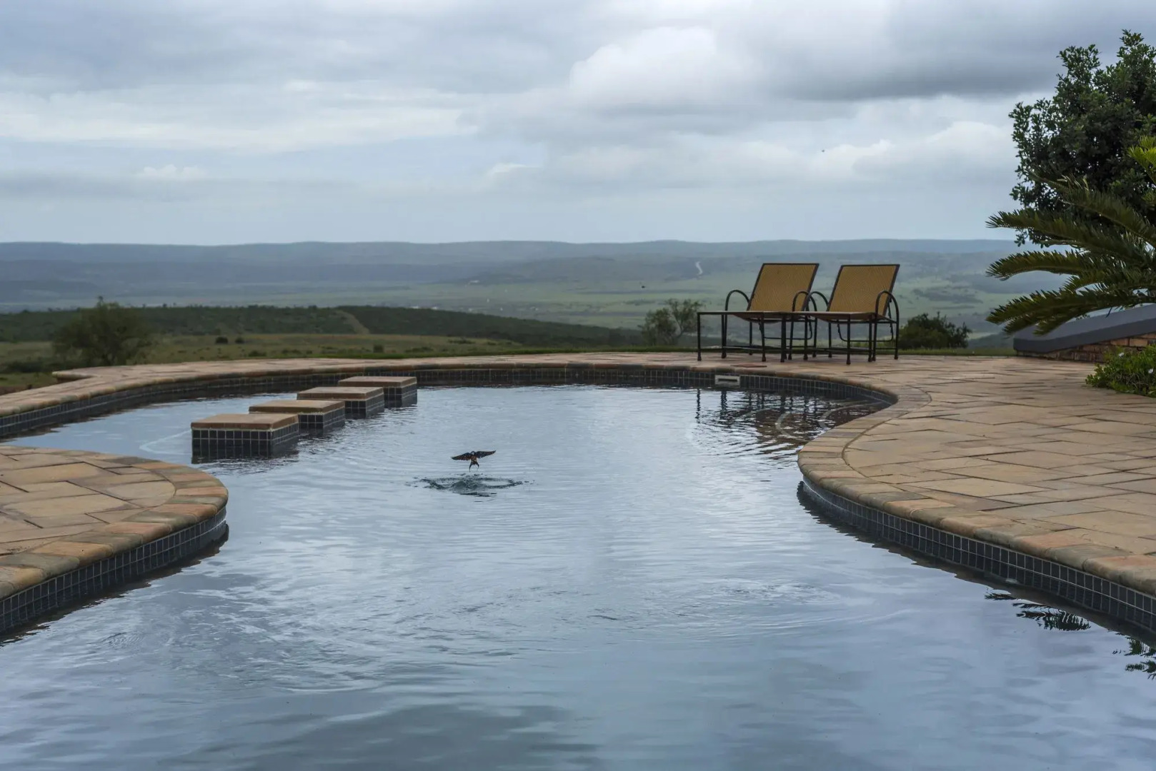 Founders Lodge by Mantis