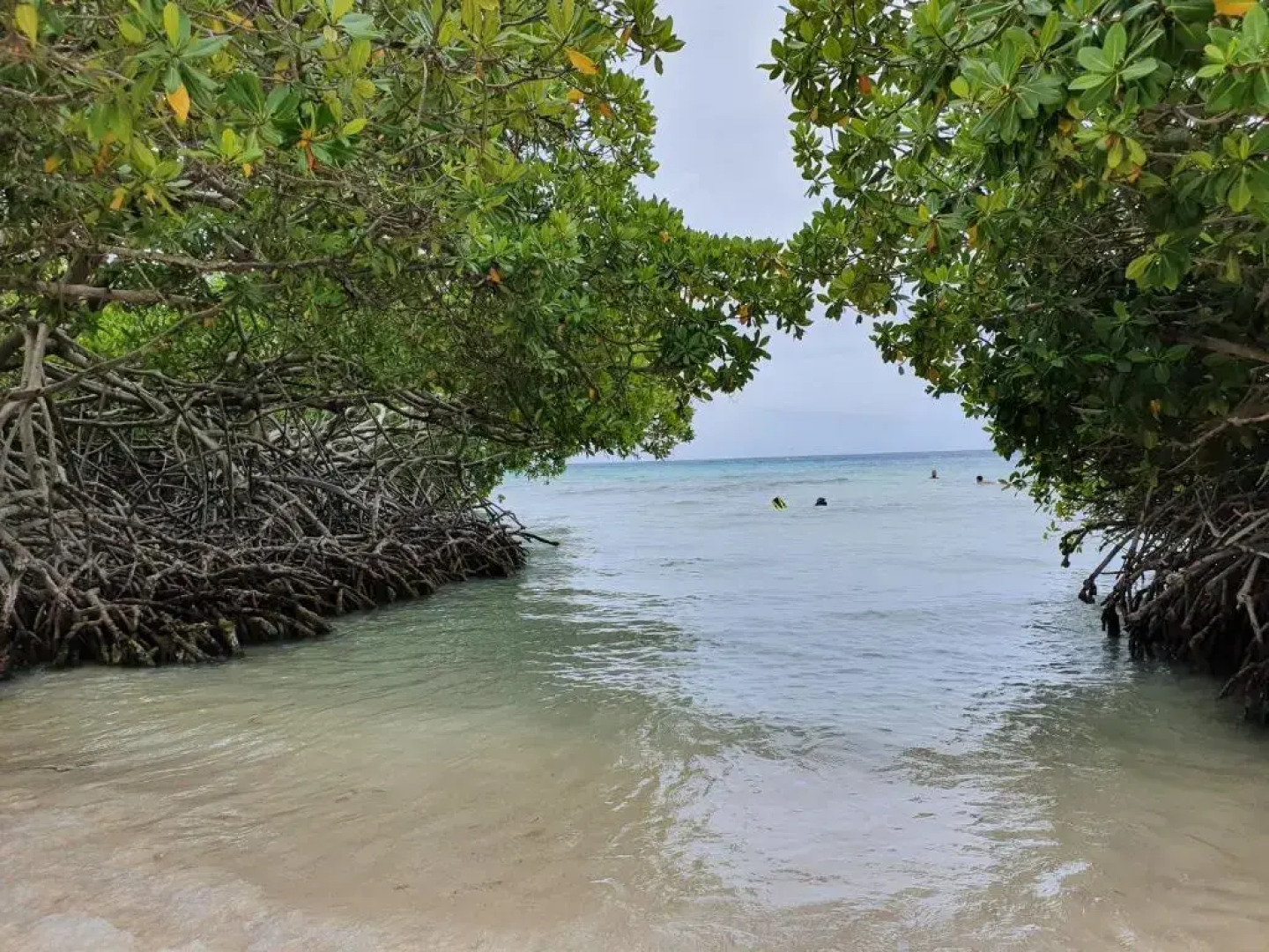 Cozy Home Under the Sun, With Swimmingpool