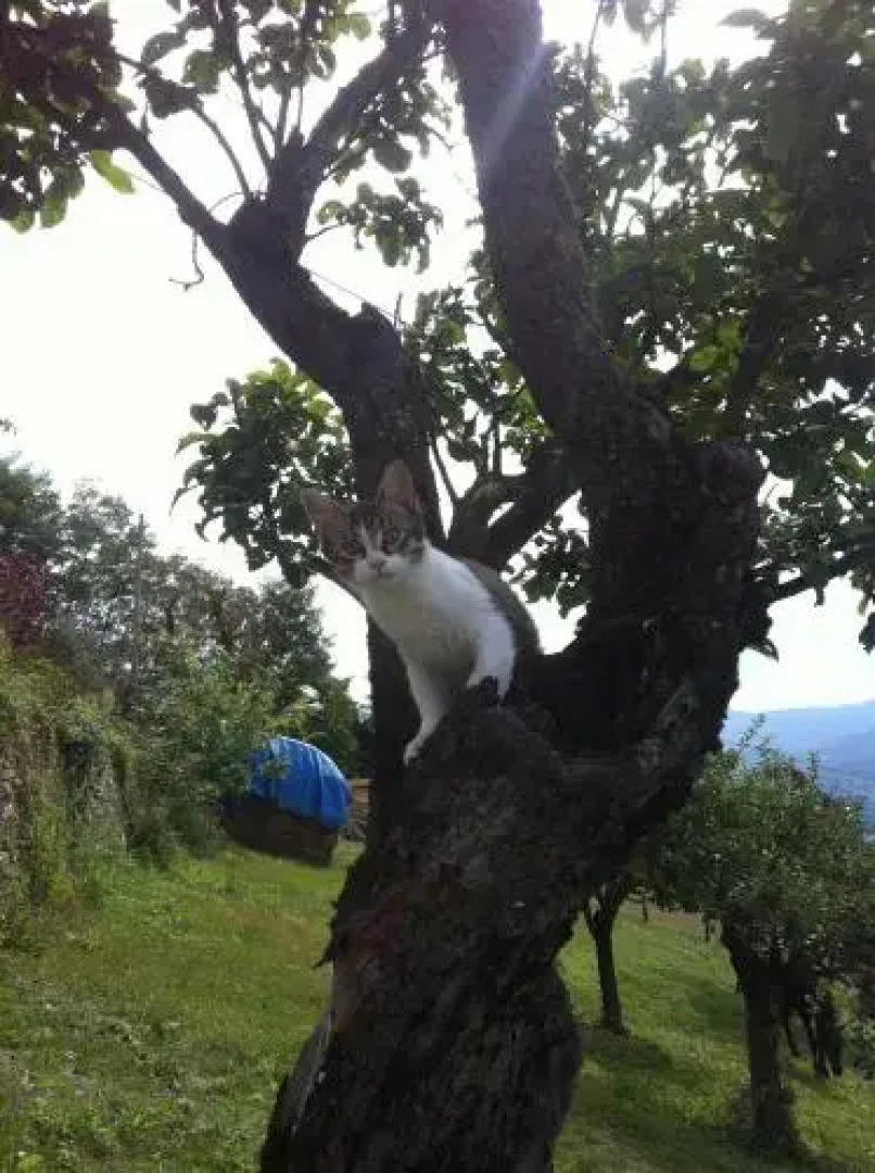 Rose e Cioccolato B&B