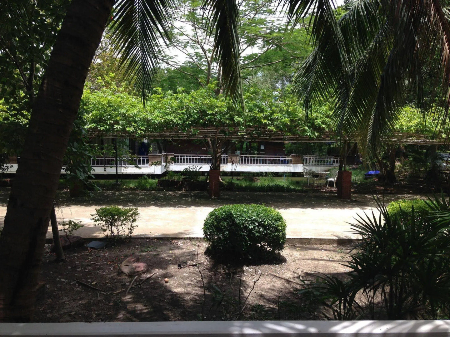 Young Coconut Garden Home Resort